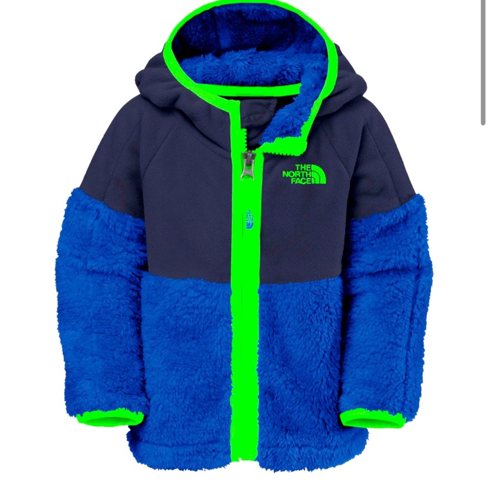 The North Face Hooded Fleece Jacket